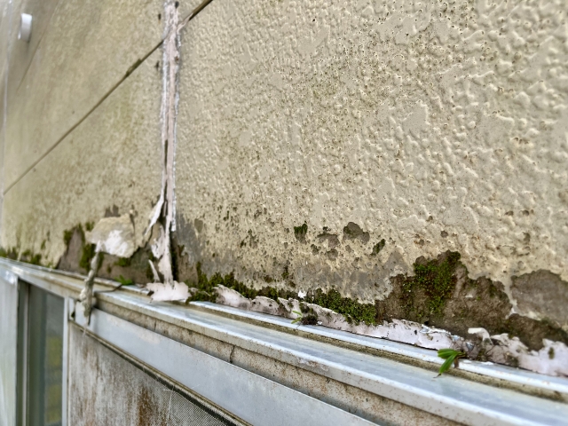 雨漏り修理と家庭用防水の重要性